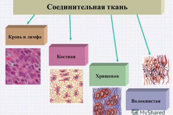 Как зарегистрироваться на кракене