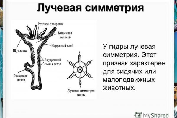 Кракен даркнет ссылка на сайт