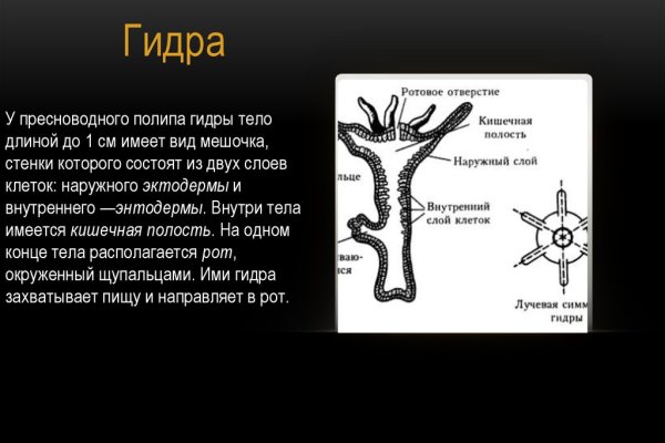 Сайт кракен зайти